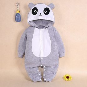 D8-Gấu xám