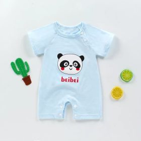 C9-Gấu xanh
